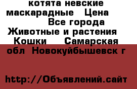 котята невские маскарадные › Цена ­ 18 000 - Все города Животные и растения » Кошки   . Самарская обл.,Новокуйбышевск г.